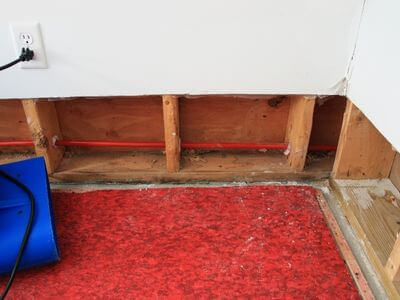 Professional mold remediation services in Beverly Hills
